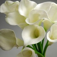 Silk flowers vs Fresh flowers