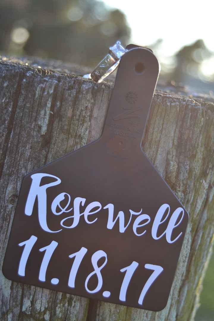 Engagement Pictures!