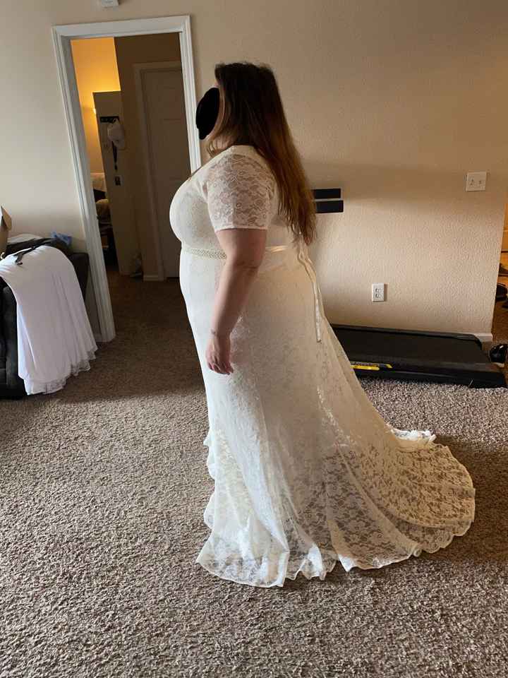 Dress one or dress Two! Please vote! - 4