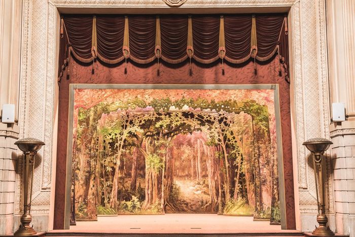 Bringing Sherwood Forest to our indoor auditorium ceremony?