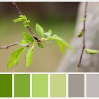 Which color combo looks nicest 4 spring wedding?