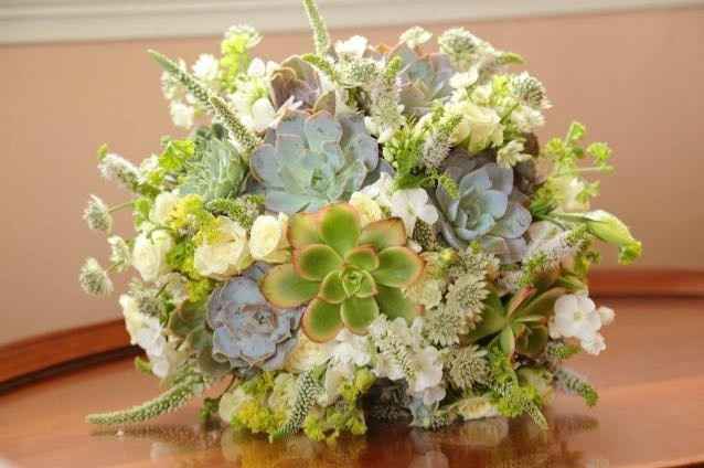 My pro BAM! Tons of pics!