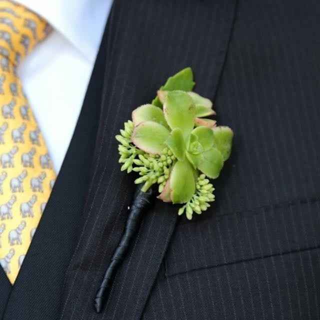 My pro BAM! Tons of pics!