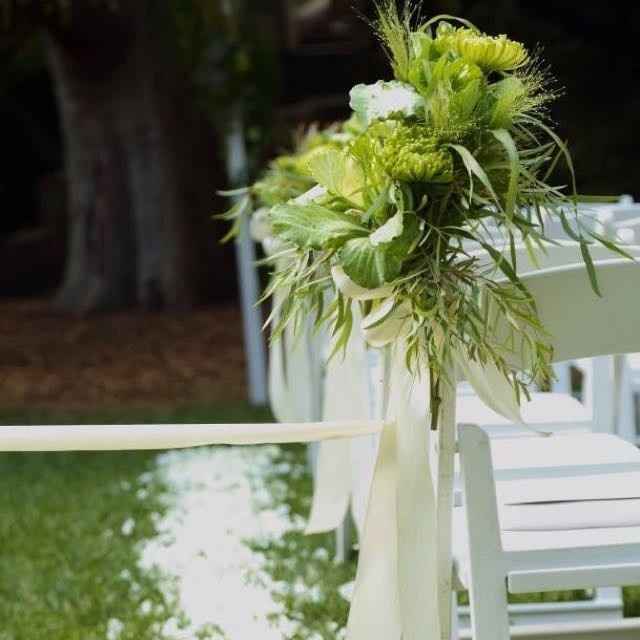 My pro BAM! Tons of pics!