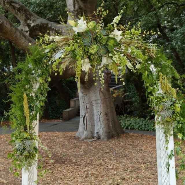 My pro BAM! Tons of pics!