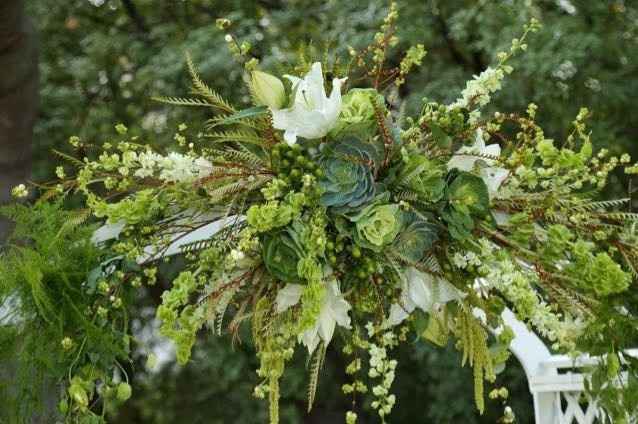 My pro BAM! Tons of pics!