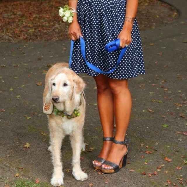 My pro BAM! Tons of pics!