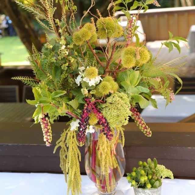 My pro BAM! Tons of pics!