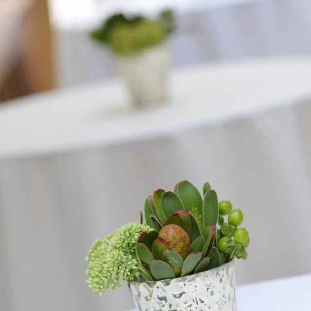 My pro BAM! Tons of pics!