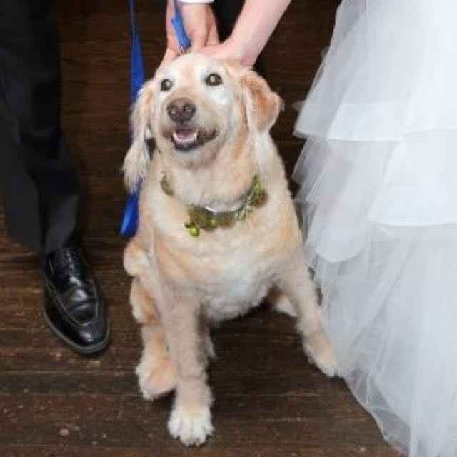 My pro BAM! Tons of pics!