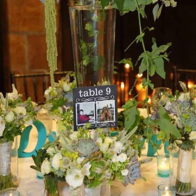 My pro BAM! Tons of pics!