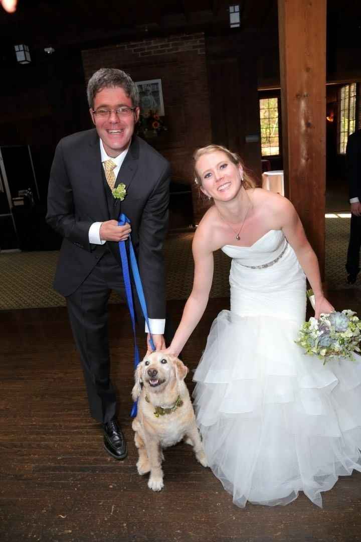 Dogs in weddings!