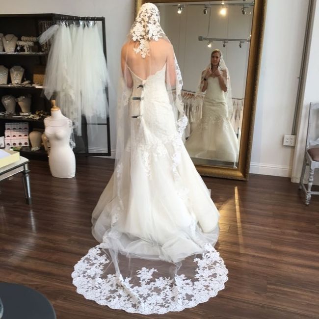 Show Me Your Veil!