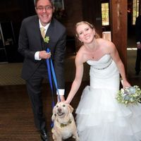 Dogs in weddings!