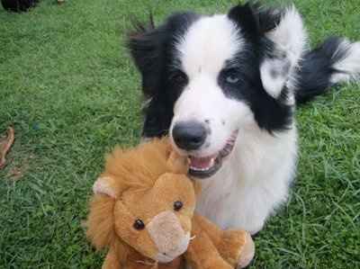 *NWR* Post pics of your furry (or not so furry) kids!