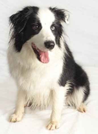 Show me your flower girl!!