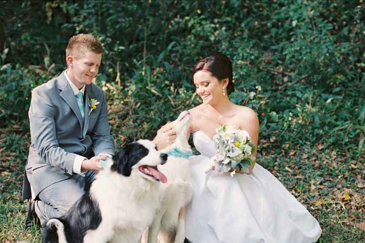 Dog as your ring bearer?