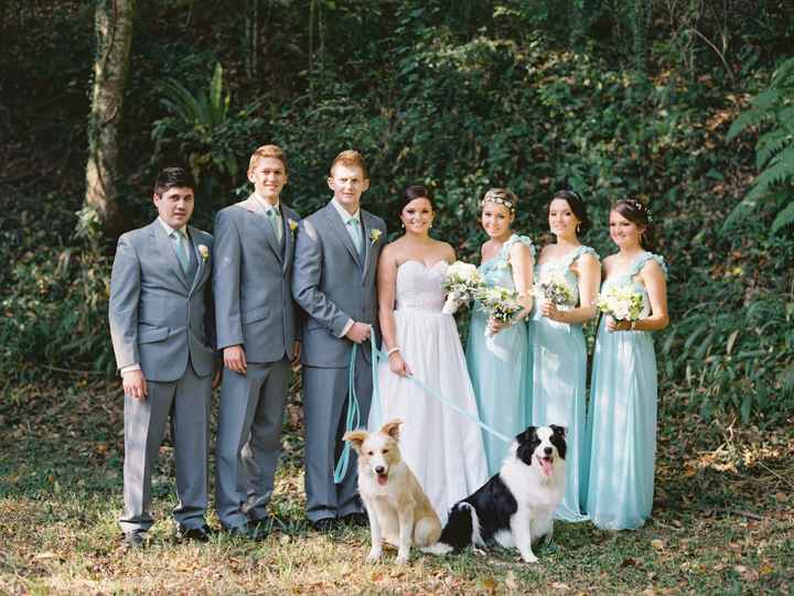 Dog as your ring bearer?