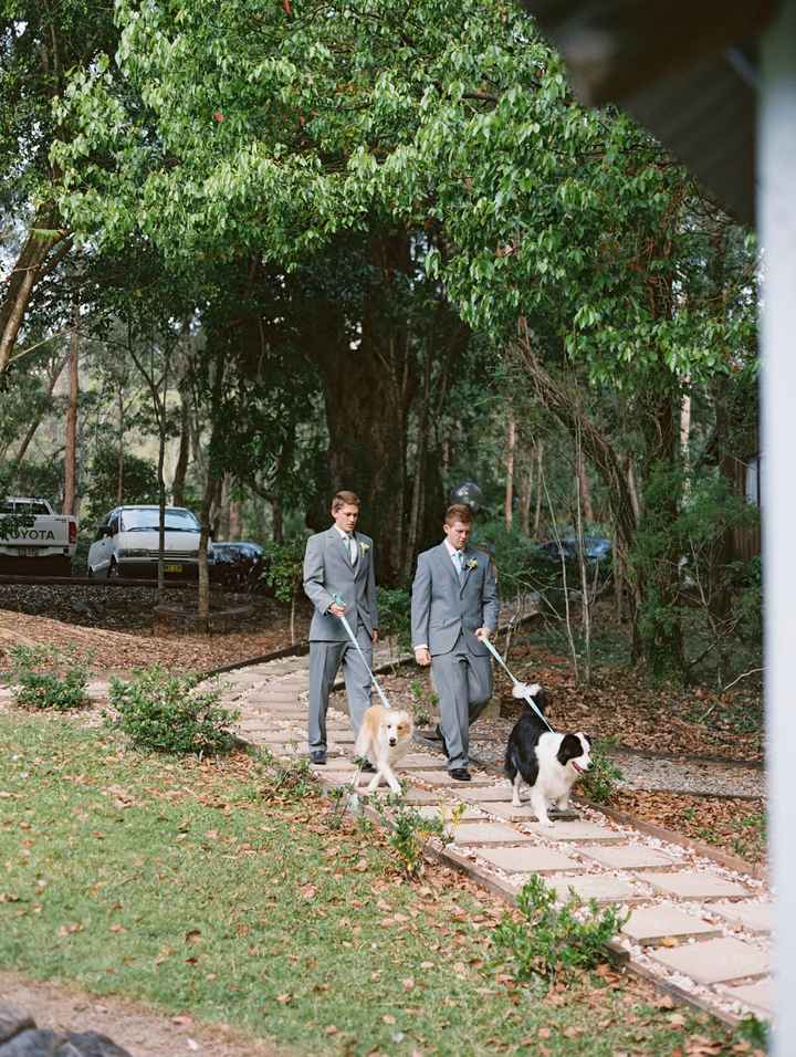 Dog as your ring bearer?