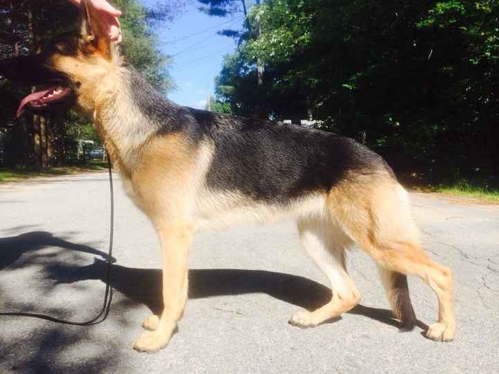 NWR: Show off your furbabies!