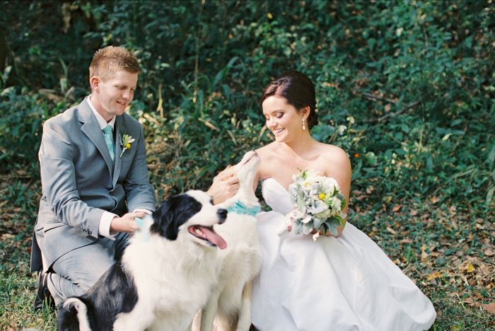 Dog as your ring bearer?