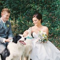 Dog as your ring bearer?