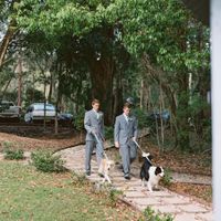 Dog as your ring bearer?