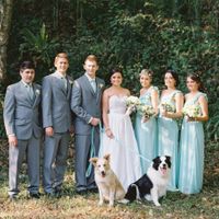 Dog as your ring bearer?