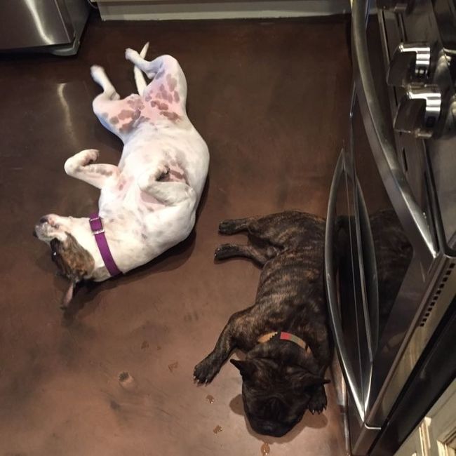 NWR: post pics of your pets!!