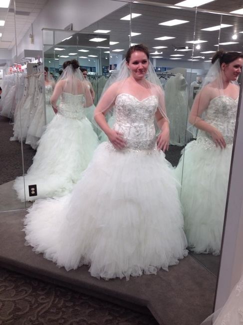 I never showed off my dress because I wasn't on WW when I found it!