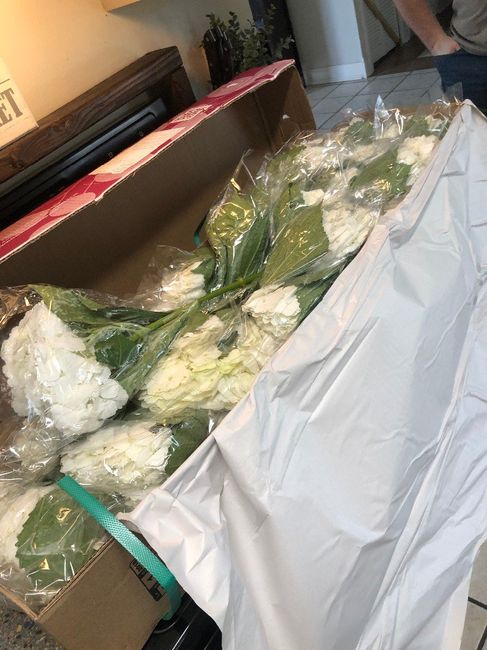 Sams Club Bulk Floral total Review- Delivery to wedding day! (photos included) 2
