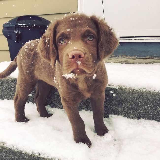 NWR: Show me your pups!