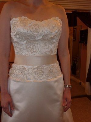 My Dress came in! (Pics)