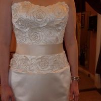 My Dress came in! (Pics)