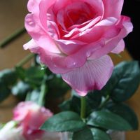 Real touch flowers; opinions?