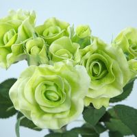 Does Anyone Know Where I Can buy Real Touch Roses Wholesale