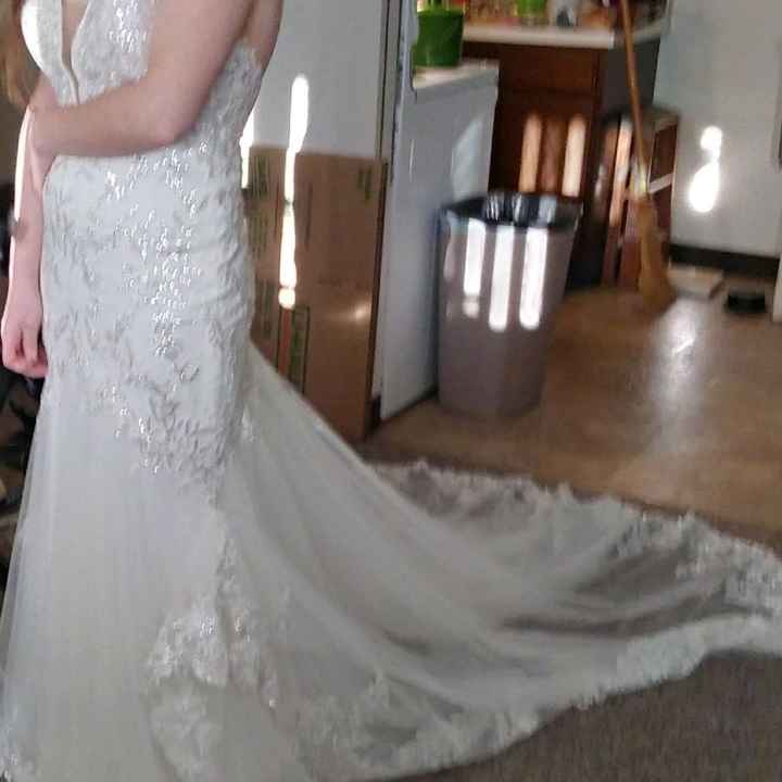 Wedding dress train - 1