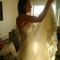 Wedding dress train - 2