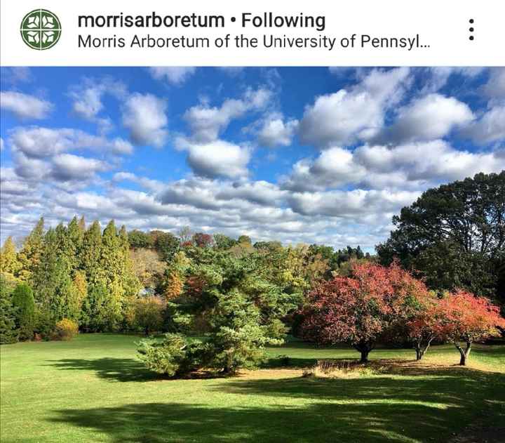 Let’s See Your Venue!! - 2