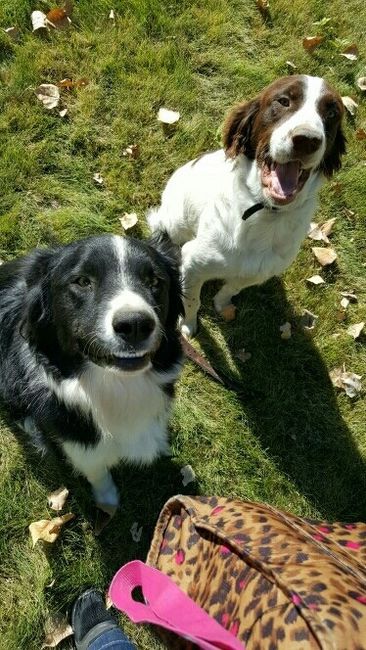 NWR: Furry Children