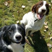 Just need to vent and cry a little