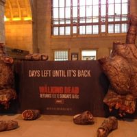 NWR- *UPDATE in comments* Any Walking Dead Fans?