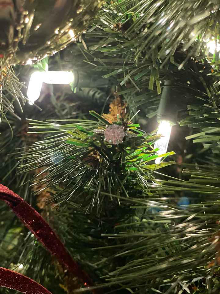 2023 Brides - Show us your ring! - 1