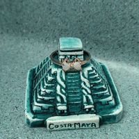 Brides of 2020!  Show us your ring! - 1