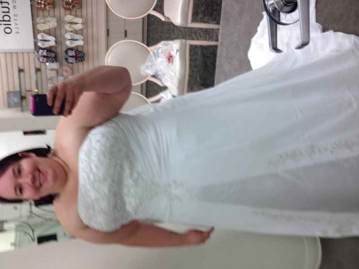 plus size brides - as in size 24 up, what dress sillouette did you pick? please show pics!