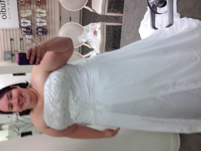 plus size brides - as in size 24 up, what dress sillouette did you pick? please show pics!