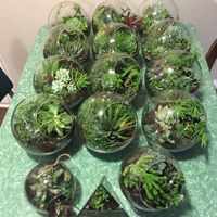 600 Guest Wedding to decorate