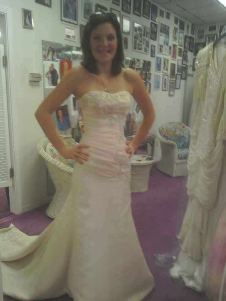 Please help me!! Wedding dress questions/advice!