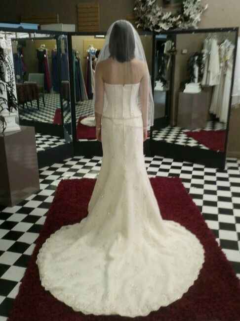 Please help me!! Wedding dress questions/advice!