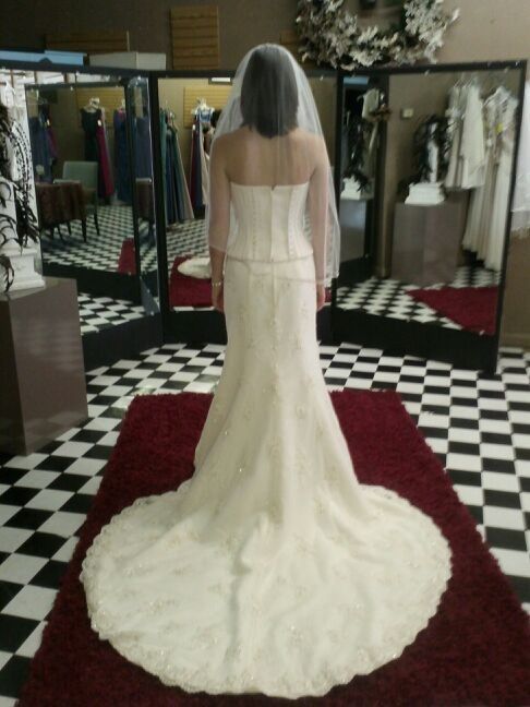 Please help me!! Wedding dress questions/advice!